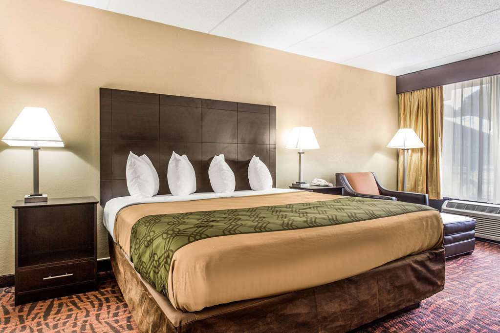 Quality Inn Asheville Airport Fletcher Room photo